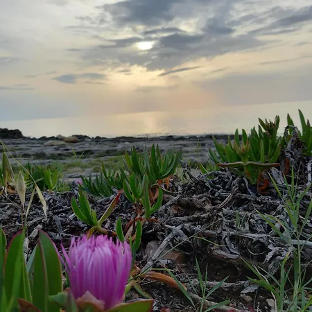 Sole E Luna 住宿加早餐酒店 加利波利